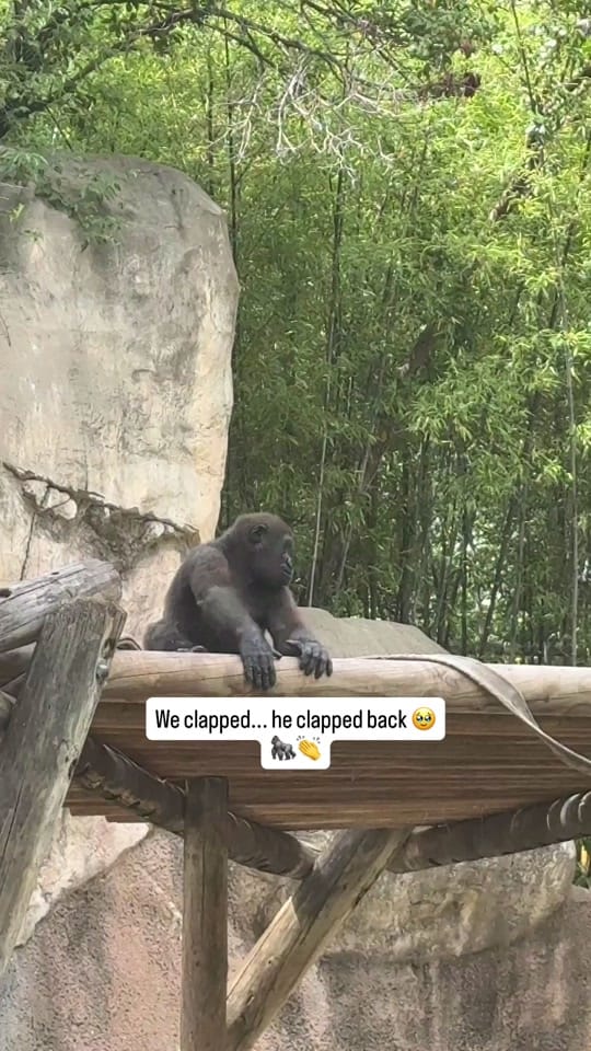 Post 1 by auntkkand2ndgrade on TikTok (video)