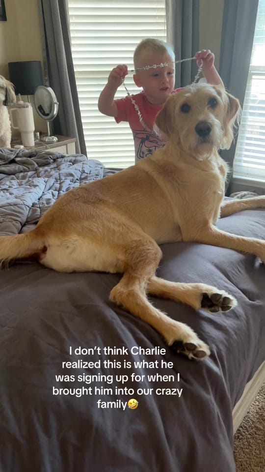Post 7 by auntkkand2ndgrade on TikTok (video)