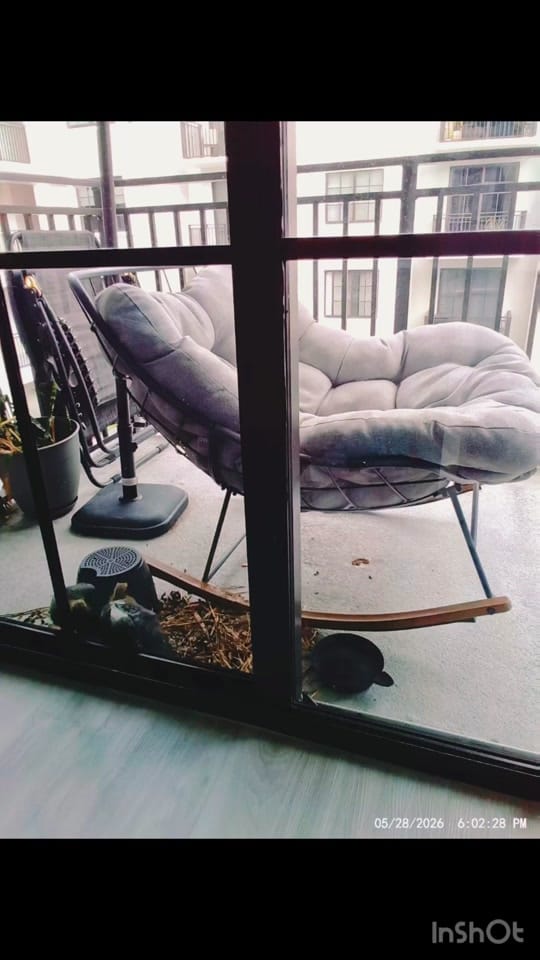 Post 2 by Erinfreefit on TikTok (video)