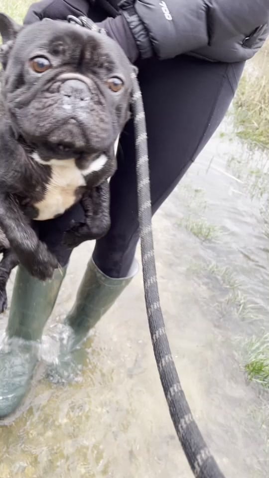 Post 3 by Holly Batterbee on TikTok (video)