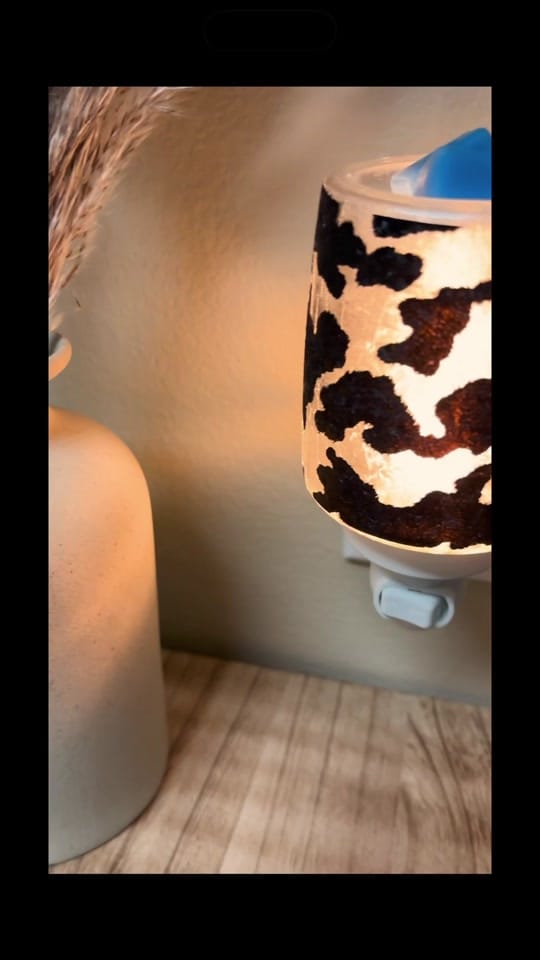 Post 4 by Danielle Jamie on TikTok (video)