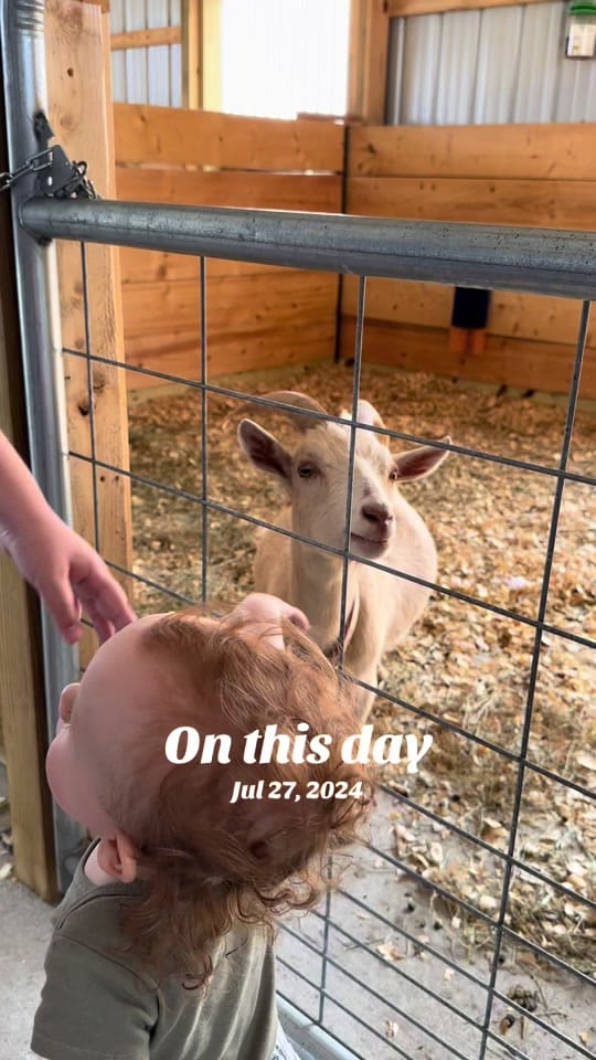 Post 8 by Danielle Jamie on TikTok (video)