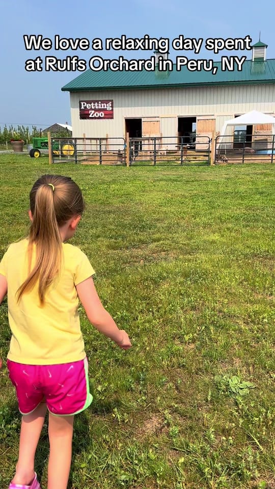 Post 7 by Danielle Jamie on TikTok (video)