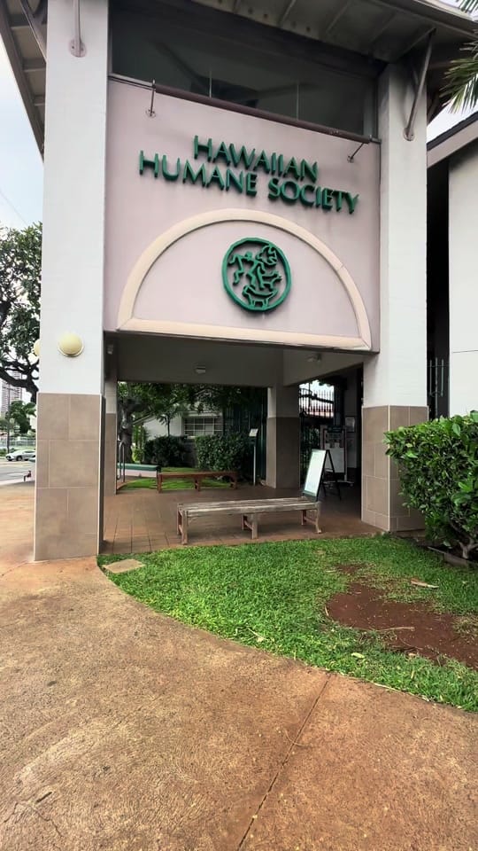 Post 5 by Kylo_cakes 🩶✨🇵🇭 on TikTok (video)
