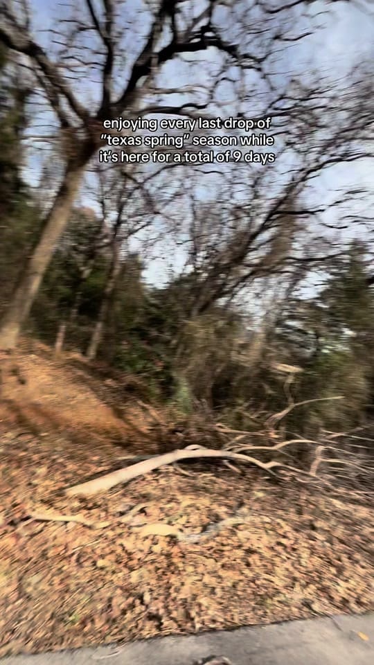 Post 3 by Riley on TikTok (video)