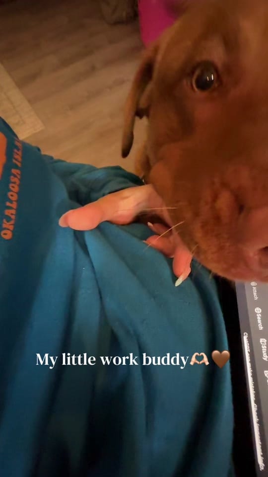 Post 3 by Madison Miles on TikTok (video)