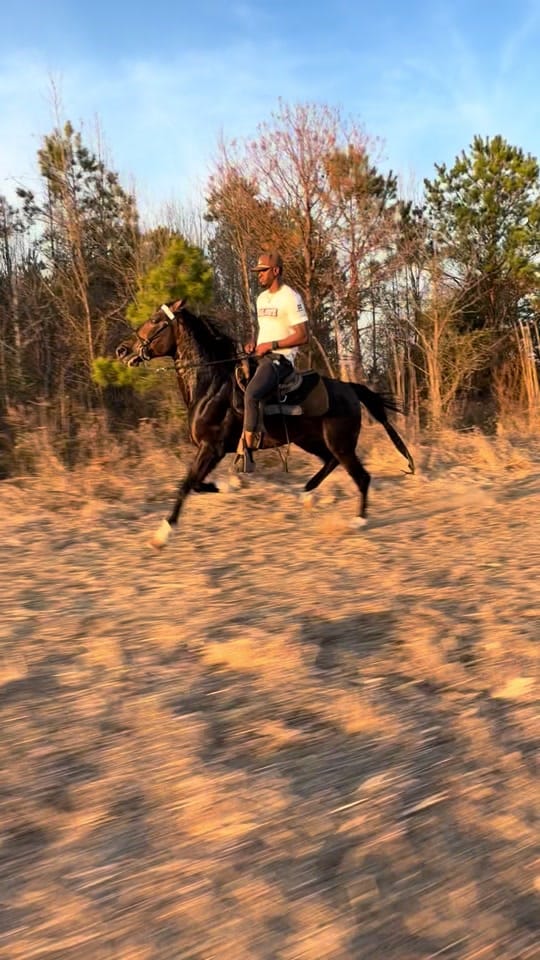 Post 1 by Banks Elite Stables on TikTok (video)