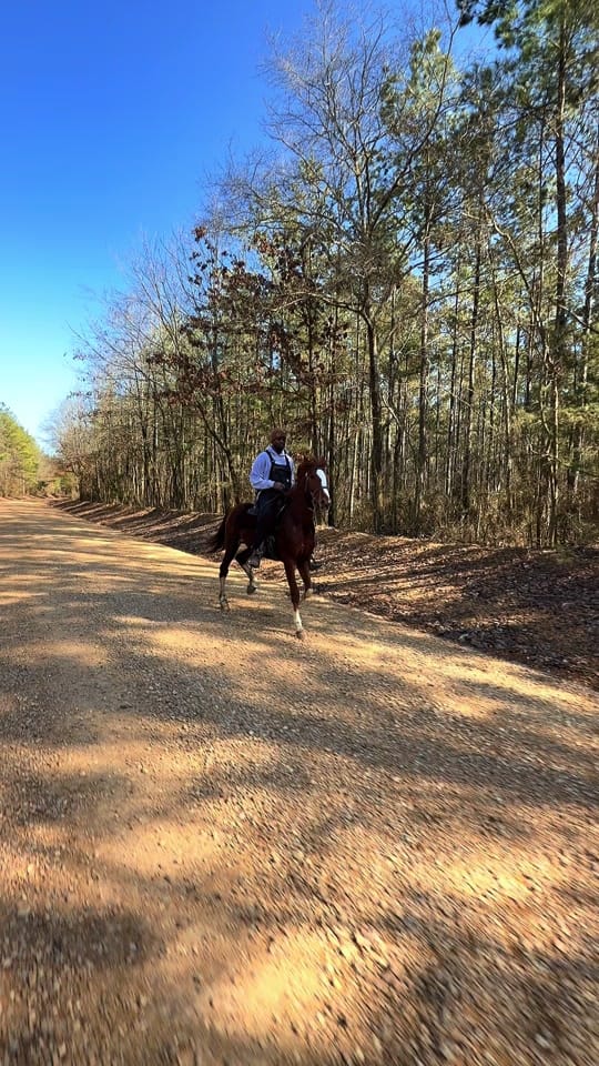 Post 5 by Banks Elite Stables on TikTok (video)