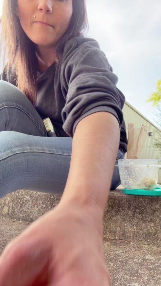 Post 2 by 🌻🖤Shanda🖤🌻 on TikTok (video)