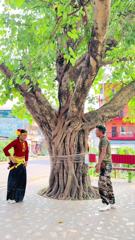 Post 3 by Dharambir_ lama on TikTok (video)
