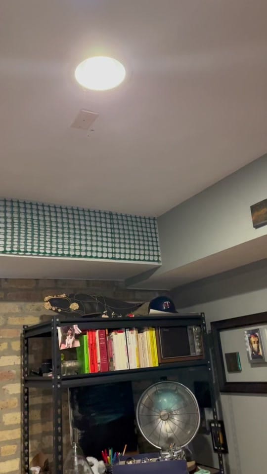 Post 1 by NeedISayMorg on TikTok (video)