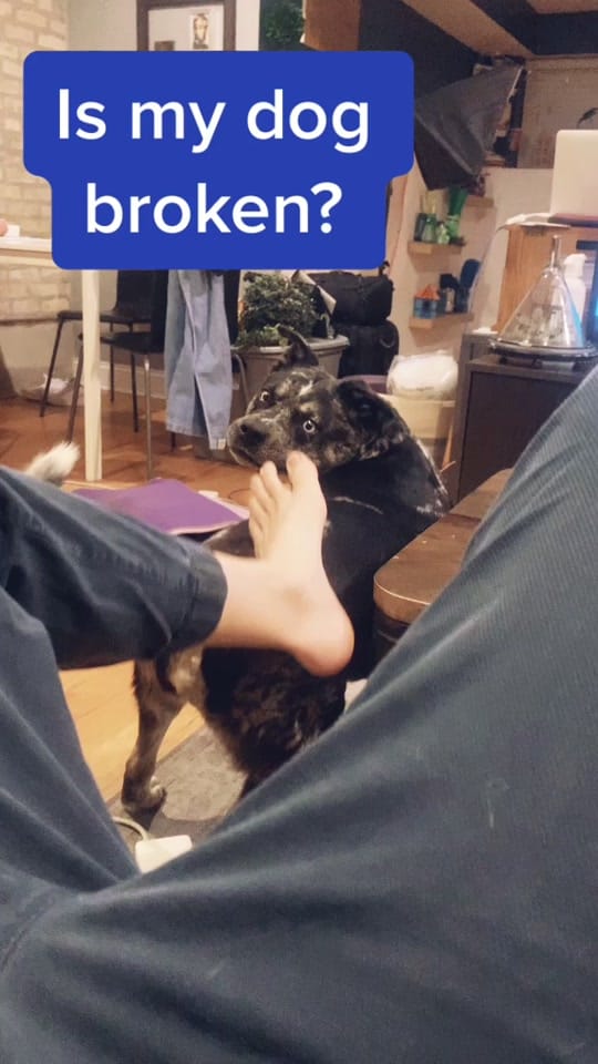 Post 9 by NeedISayMorg on TikTok (video)