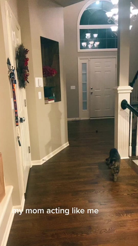 Post 10 by hollymckenziee on TikTok (video)