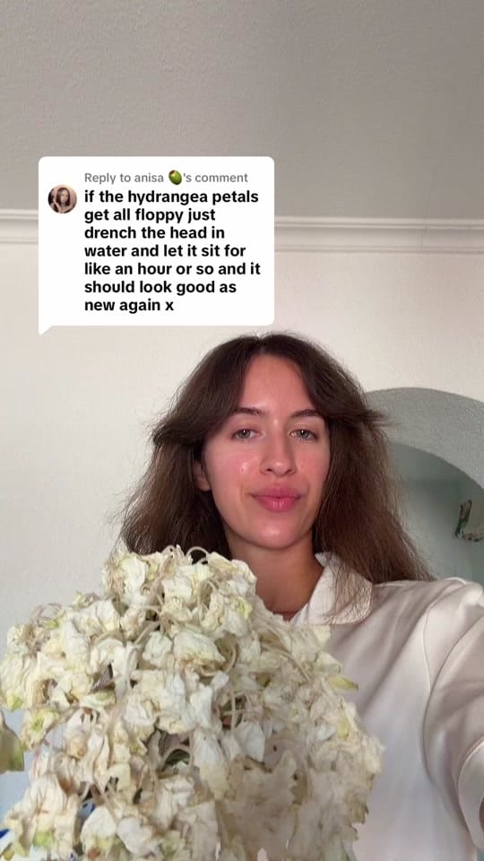 Post 1 by Fayee🫒 on TikTok (video)