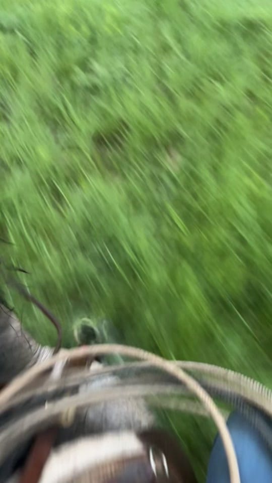 Post 7 by Natalie Boone on TikTok (video)