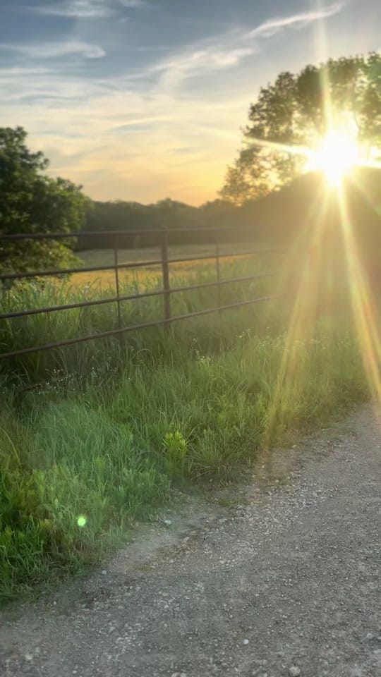Post 3 by Natalie Boone on TikTok (video)