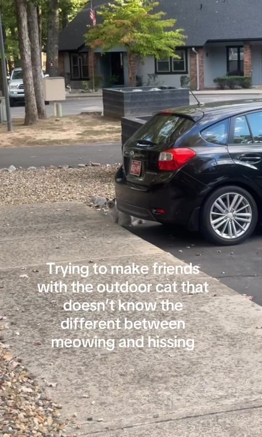 Post 10 by beccabusch7 on TikTok (video)