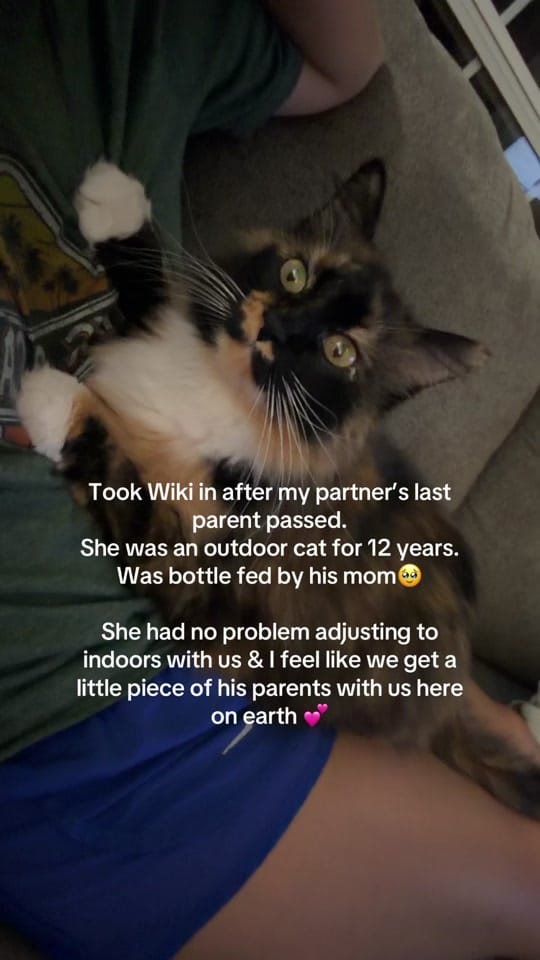 Post 6 by beccabusch7 on TikTok (video)