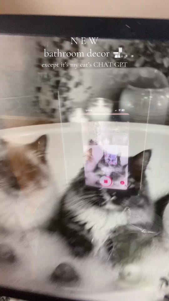 Post 7 by beccabusch7 on TikTok (video)