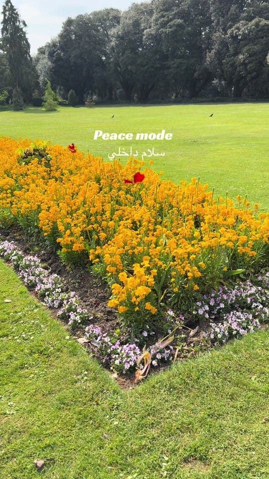 Post 4 by Nadia bakhi 💕 on TikTok (video)