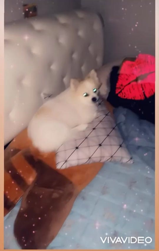 Post 9 by Jandi 🇵🇭🇰🇷❤️James🇺🇸🫰 on TikTok (video)