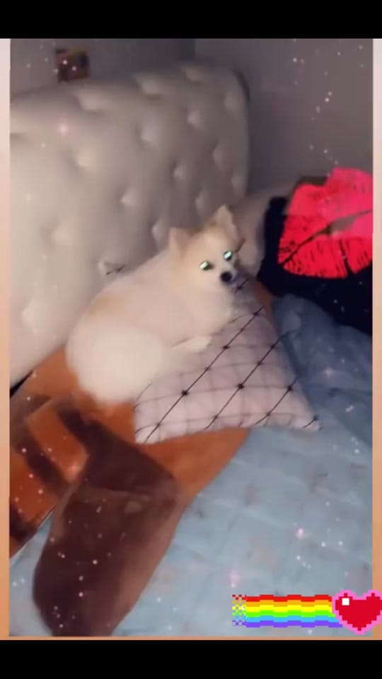 Post 1 by Jandi 🇵🇭🇰🇷❤️James🇺🇸🫰 on TikTok (video)
