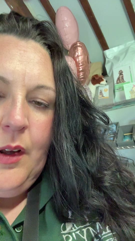 Post 7 by Amy’s Pet Supplies on TikTok (video)