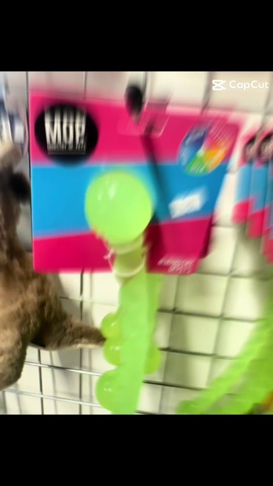 Post 3 by Amy’s Pet Supplies on TikTok (video)