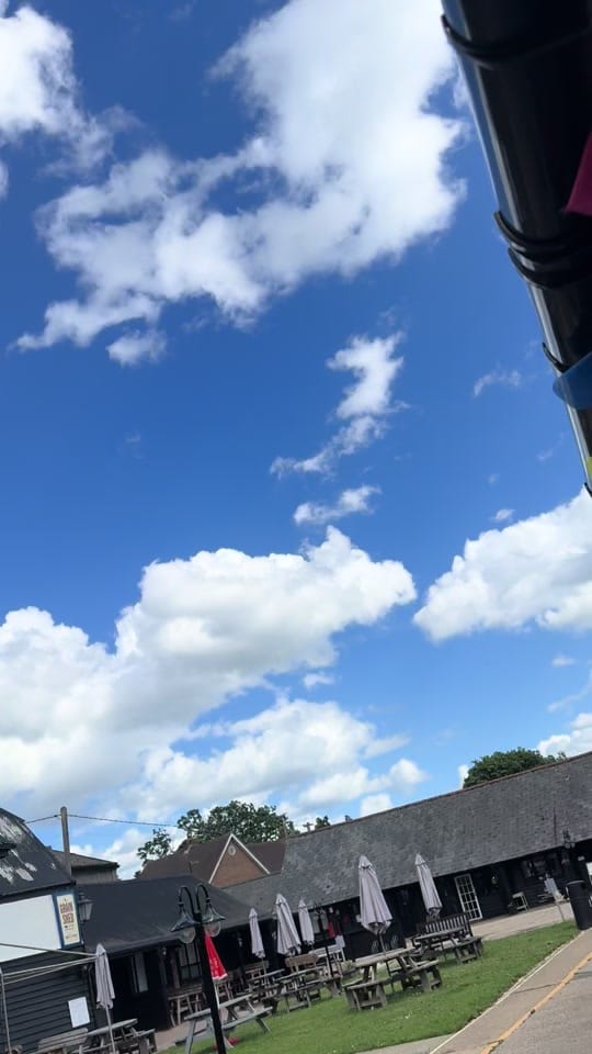 Post 4 by Amy’s Pet Supplies on TikTok (video)
