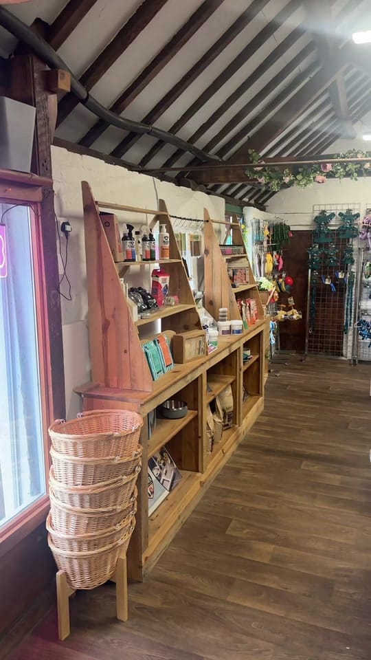Post 5 by Amy’s Pet Supplies on TikTok (video)