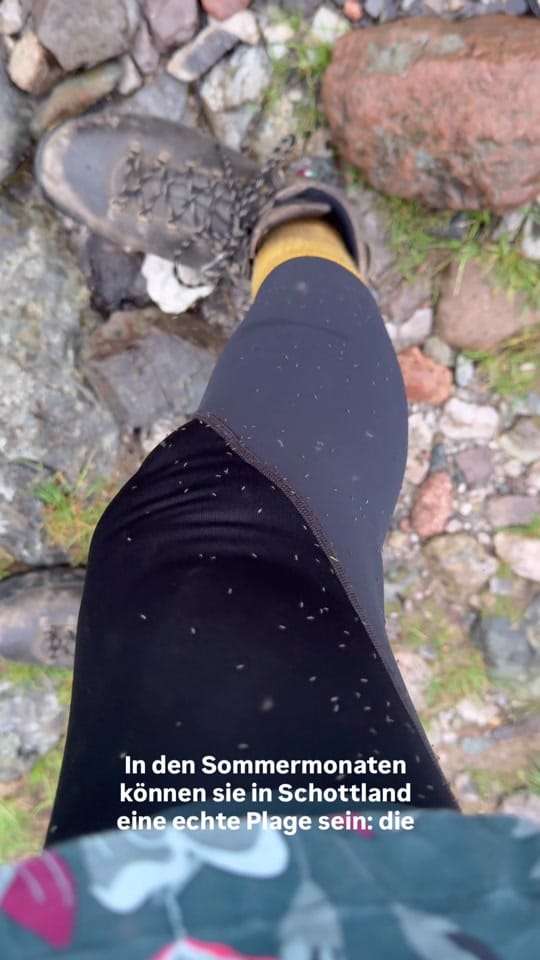 Post 9 by susanneshighlandstories on TikTok (video)
