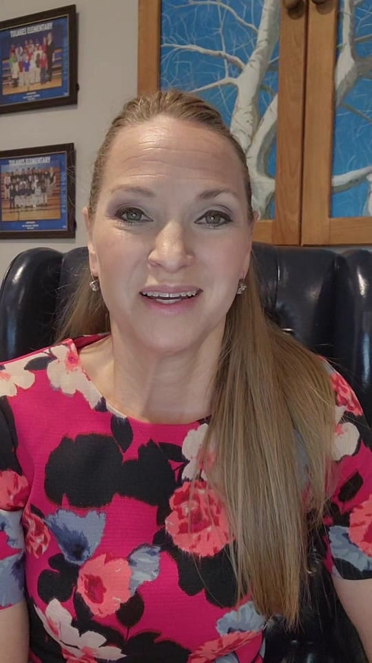 Post 1 by carrihicks on TikTok (video)