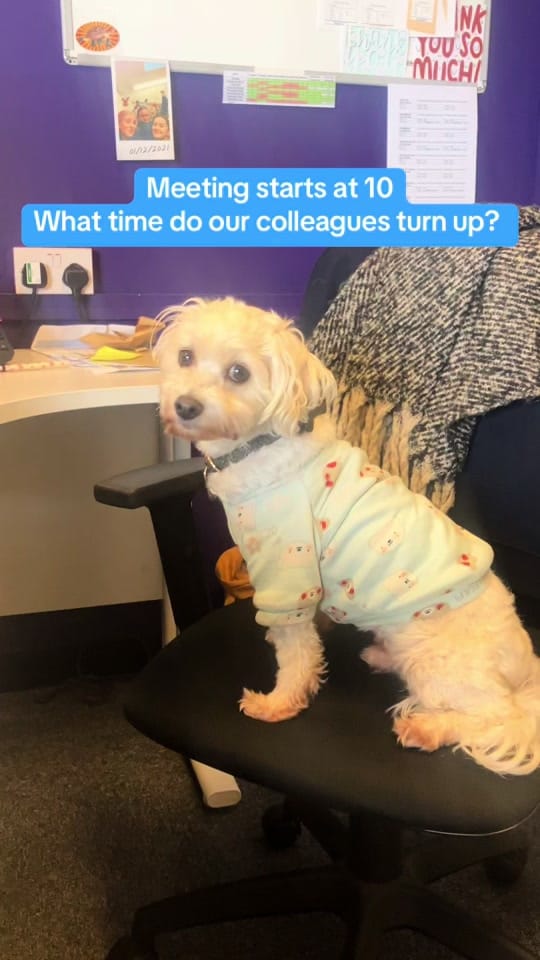 Post 9 by HatHats Coffee on TikTok (video)