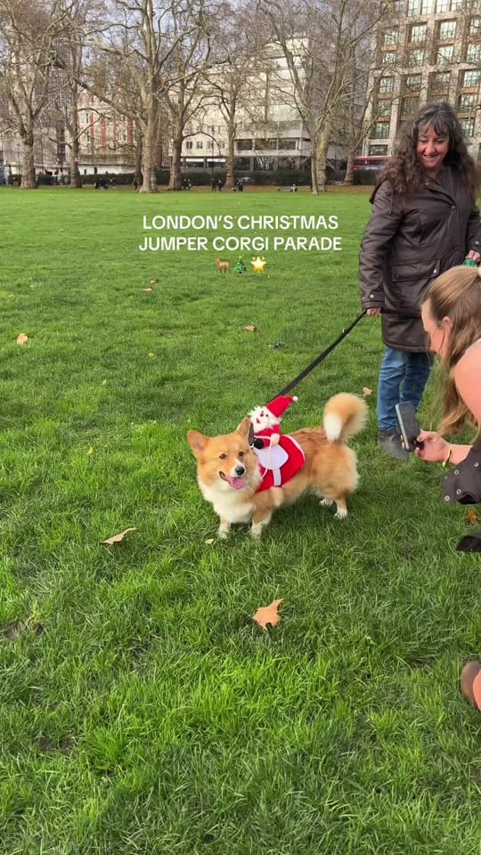 Post 5 by jocelyn on TikTok (video)