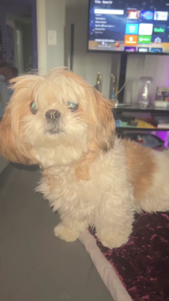 Post 1 by BayHolloway on TikTok (video)