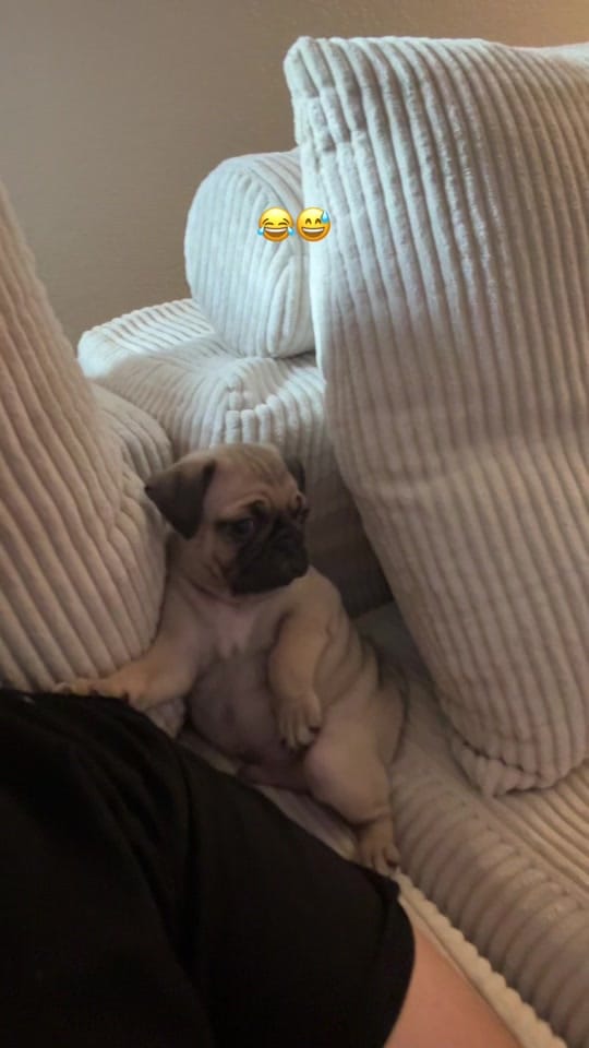 Post 3 by ALEJO ARCE 🔱 on TikTok (video)