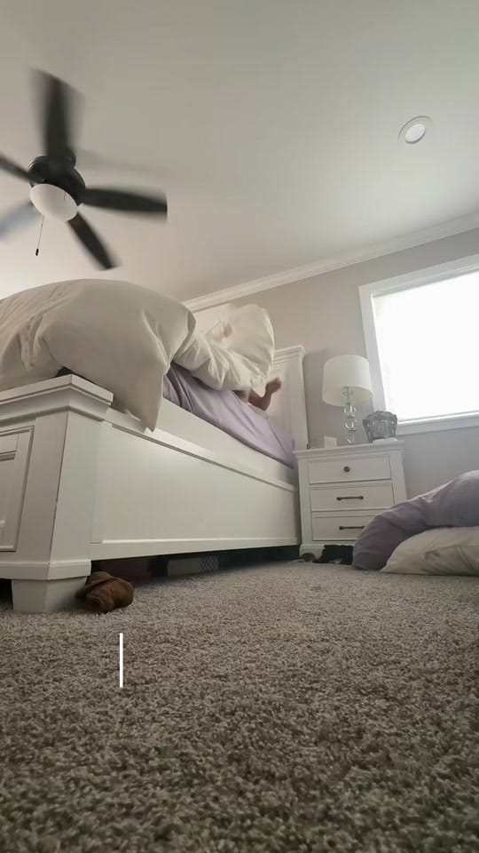 Post 10 by •Monique• on TikTok (video)