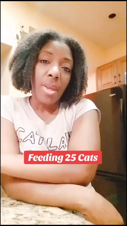 Post 9 by Ms Curly McCatlady (Carla) on TikTok (video)