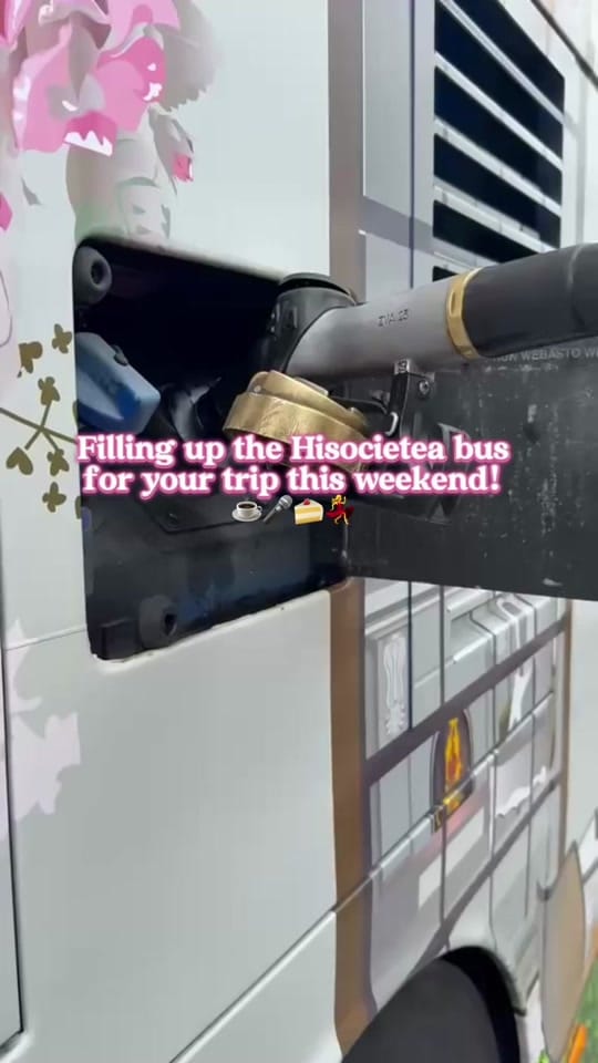 Post 5 by HiSocieTea🫖🌸 on TikTok (video)
