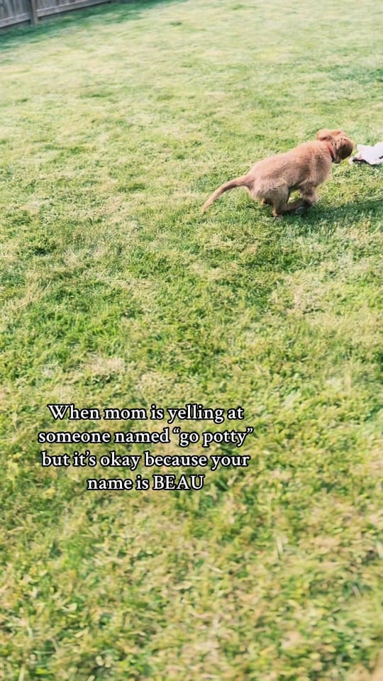 Post 3 by Olivia Stukey on TikTok (video)