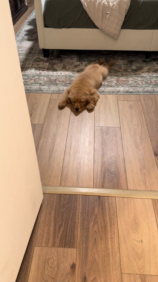 Post 6 by Olivia Stukey on TikTok (video)