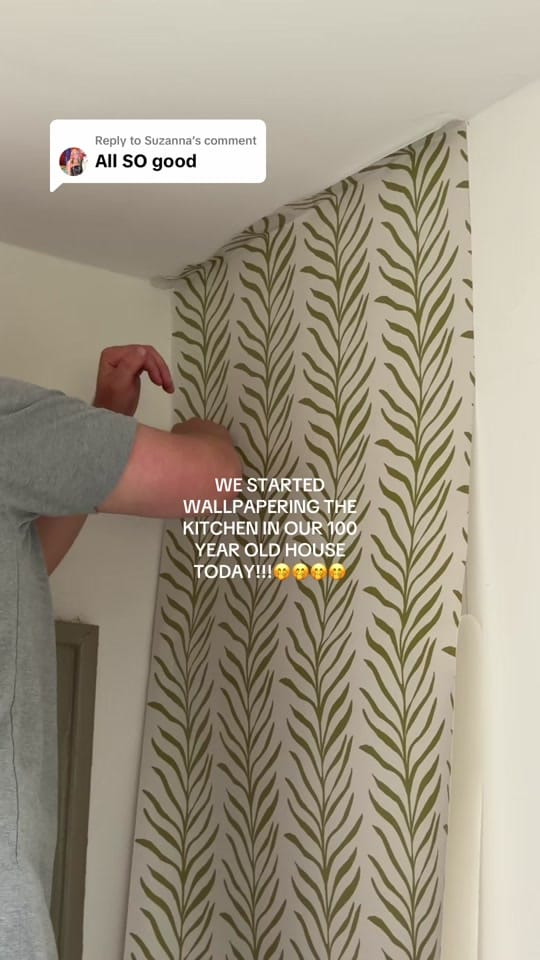 Post 9 by Kaleigh Finch on TikTok (video)