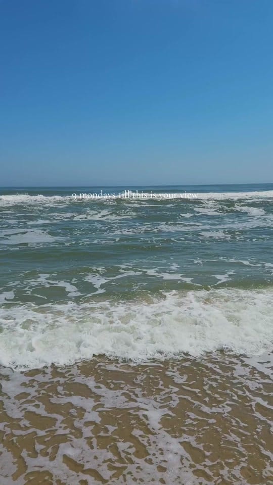 Post 3 by Ms. W on TikTok (video)