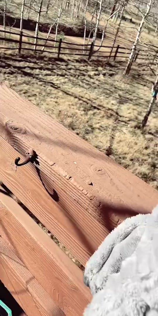 Post 9 by Homestead8950✂️🦄🦥 on TikTok (video)