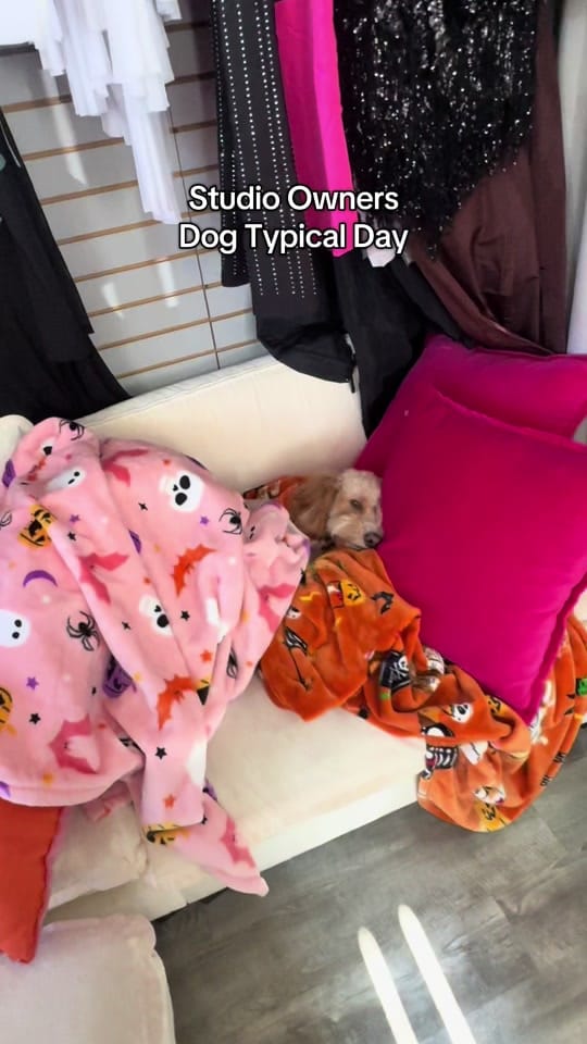 Post 9 by Morgan and Lauren on TikTok (video)