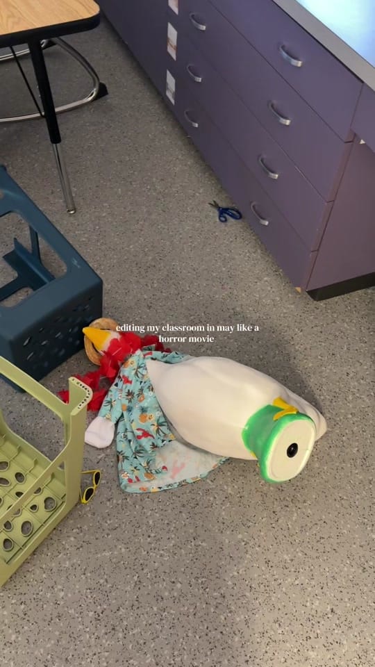 Post 9 by Lauren Brown on TikTok (video)