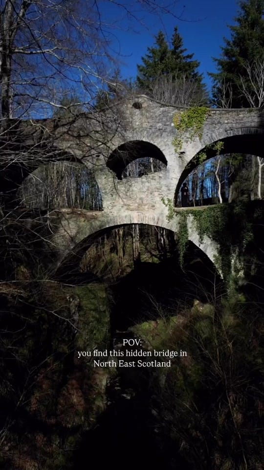 Post 1 by Michelle Catherine on TikTok (video)
