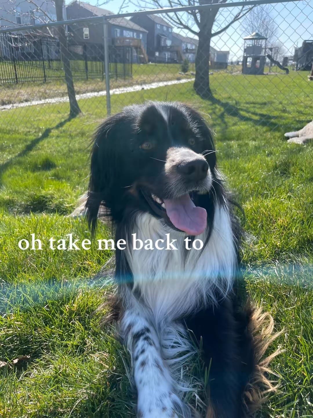 Post 7 by Mrs.Mc on TikTok (video)