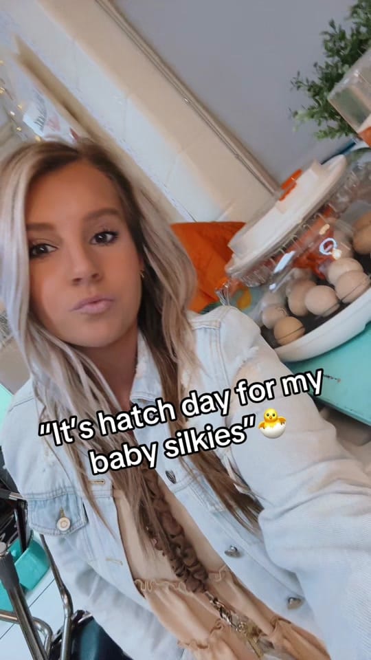 Post 3 by Ashley on TikTok (video)