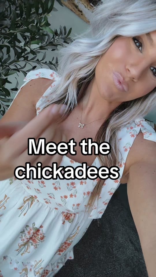 Post 1 by Ashley on TikTok (video)